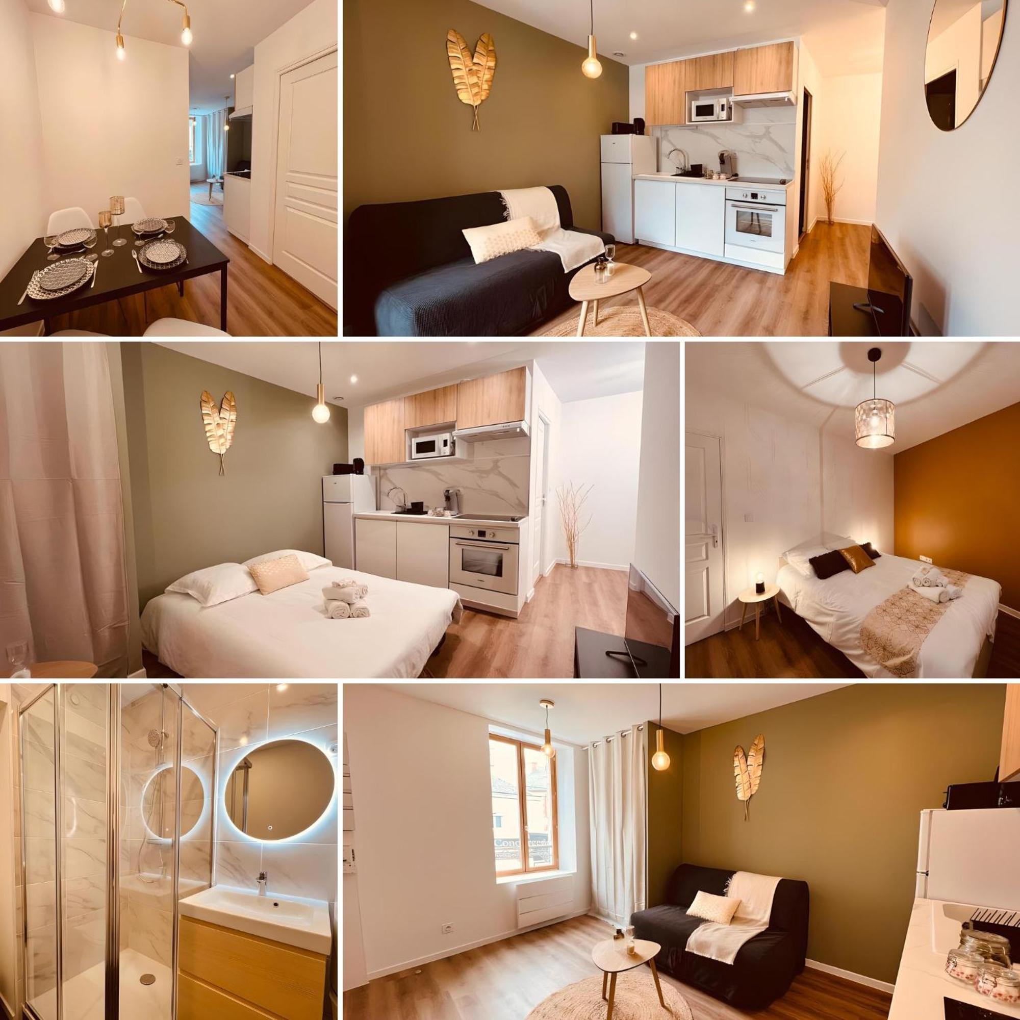 Le Golden - Home Homy Vierzon Esterno foto